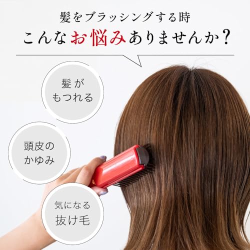 Kaijirushi Scalp Hair Care Brush Regular Black