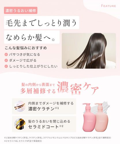 Kaminii Rich Moist Shampoo and Conditioner Set 420ml for Japanese Hair Care
