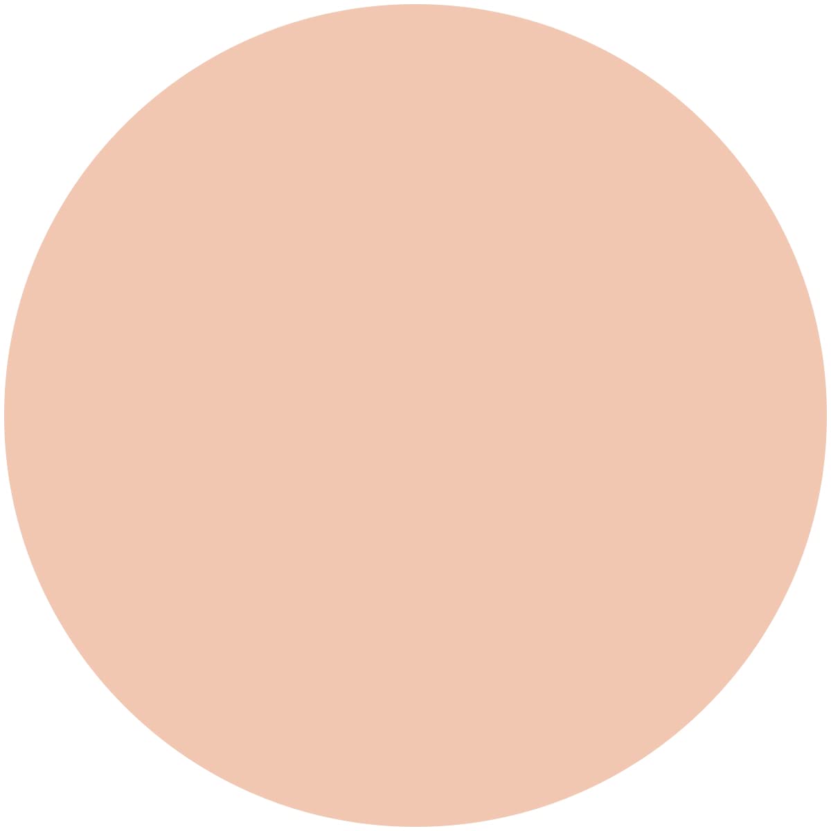 Kiss Me FERME Moisture Powder Foundation for Dewy Skin 11g