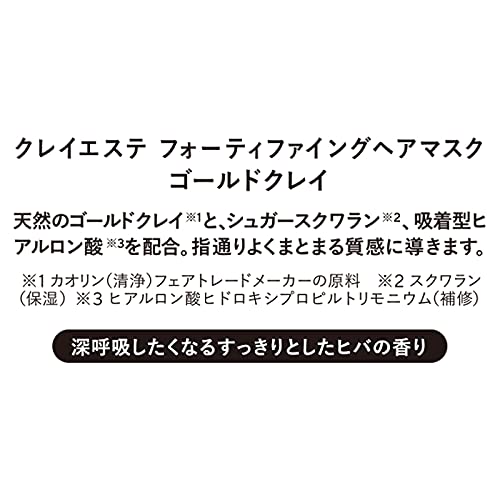Clay Esthe Fortifying Hair Mask Gold Clay 800g for Japanese Hair Care