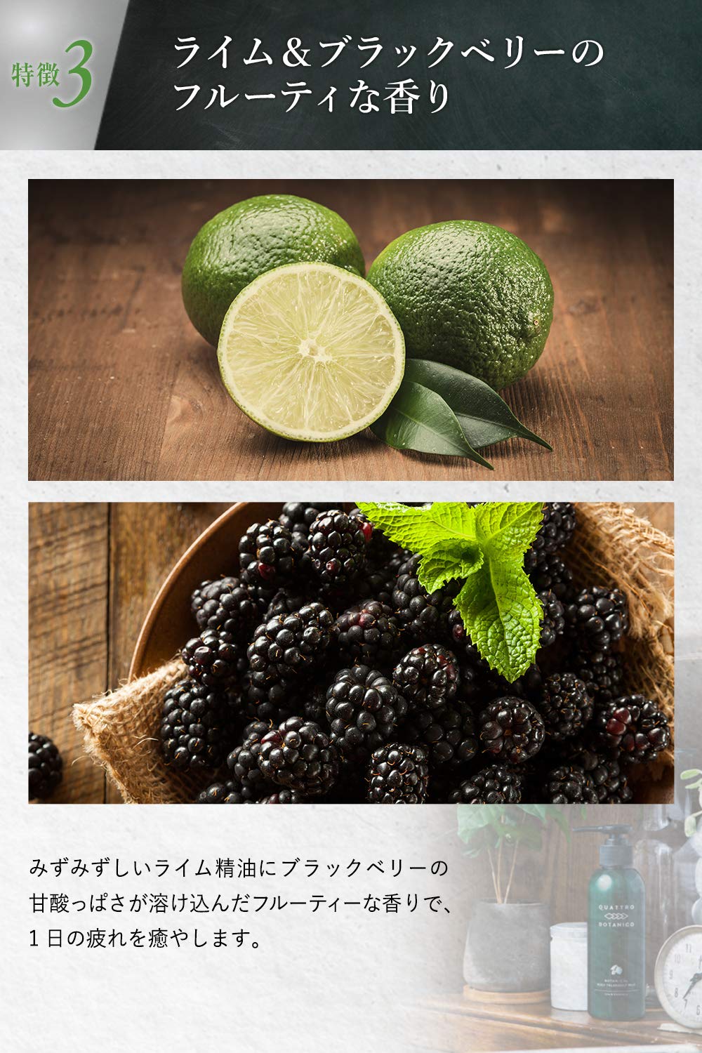 QUATTRO BOTANICO Body Cream with Lime and Blackberry Scent 180ml