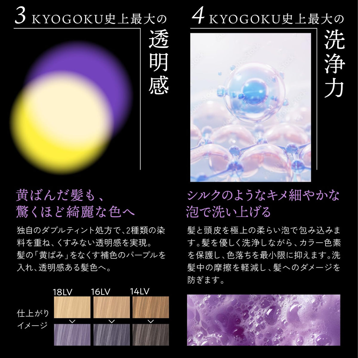 Kyogoku Blue Purple Shampoo 200ml for Yellowing Correction