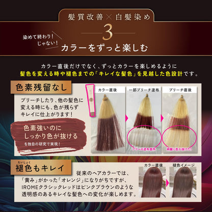 Kyogoku IROME Hair Color Classic Red 1 Application
