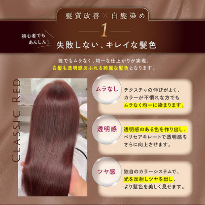 Kyogoku IROME Hair Color Classic Red 1 Application
