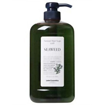 Lebel Natural Hair Soap with Seaweed 1000ml Japanese Hair Care