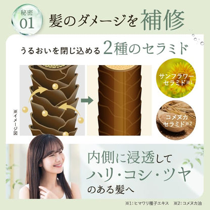 Lebena Organic Shampoo and Treatment Refill Set 400ml Each