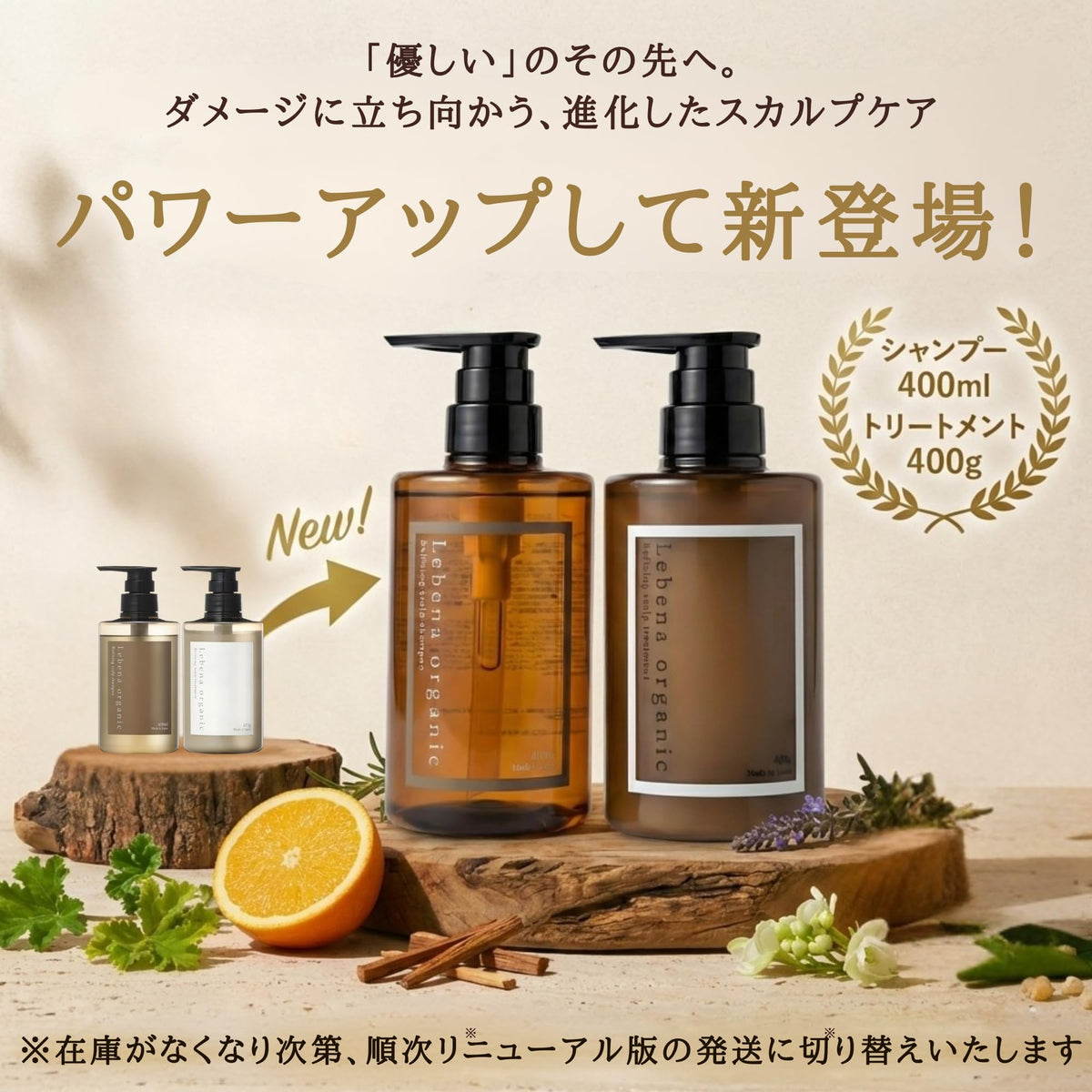 Lebena Organic Shampoo and Treatment Set 450ml Relaxing Aroma