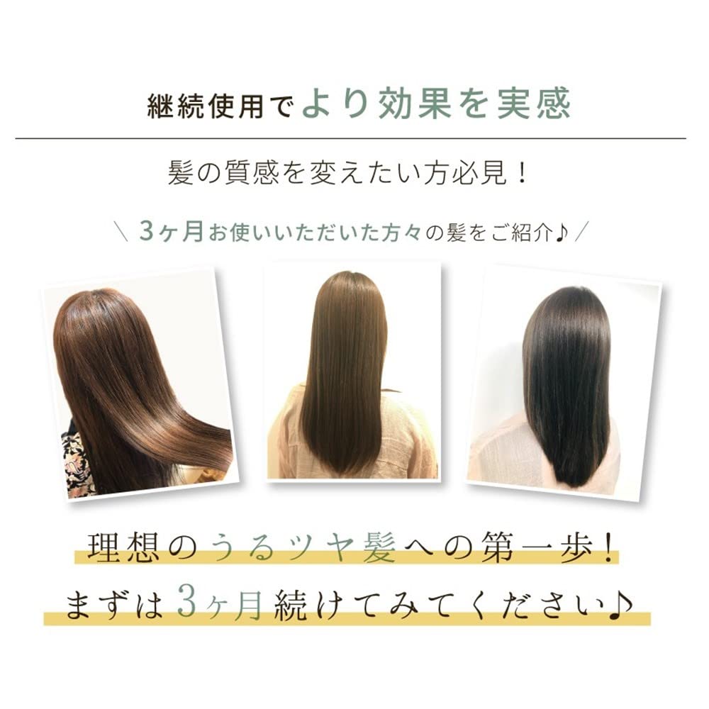 Lebena Organic Shampoo 450ml for Shiny Hair with Natural Ingredients