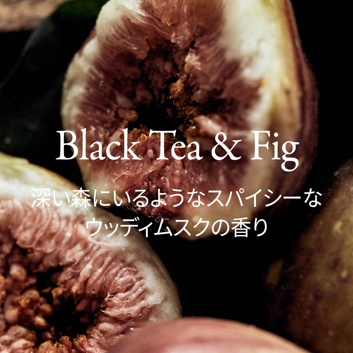 Longtake Black Tea and Fig Softening Body Lotion 200ml