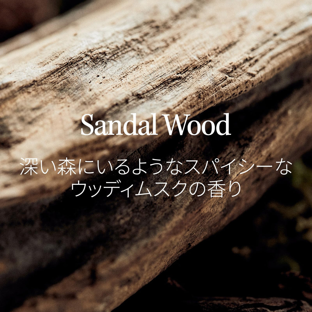 Longtake Sandalwood Shampoo 300ml for Damage Care