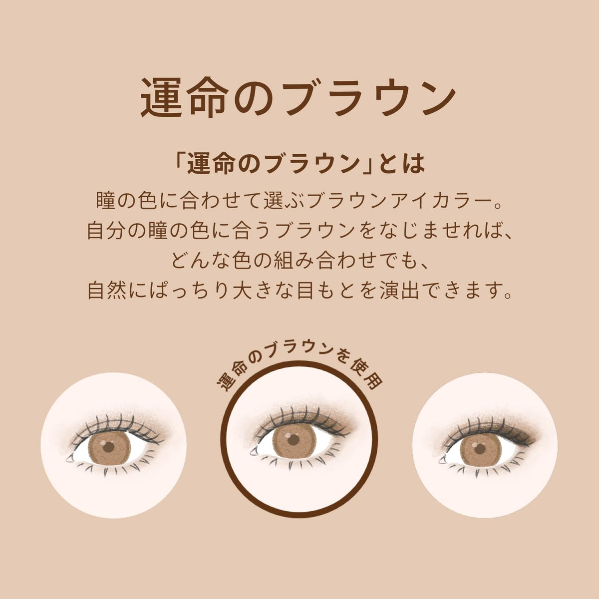 MAQUILLAGE Customizable Eye Color Assortment 3.8g with Brown Shades