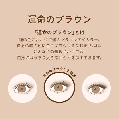 MAQUILLAGE Custom Eye Color Single Classic Cocoa Pearl 1g