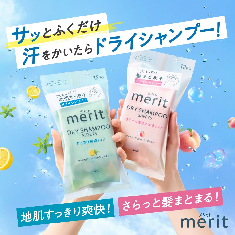 Merit Dry Shampoo Sheets 12 Count for Fresh and Tidy Hair