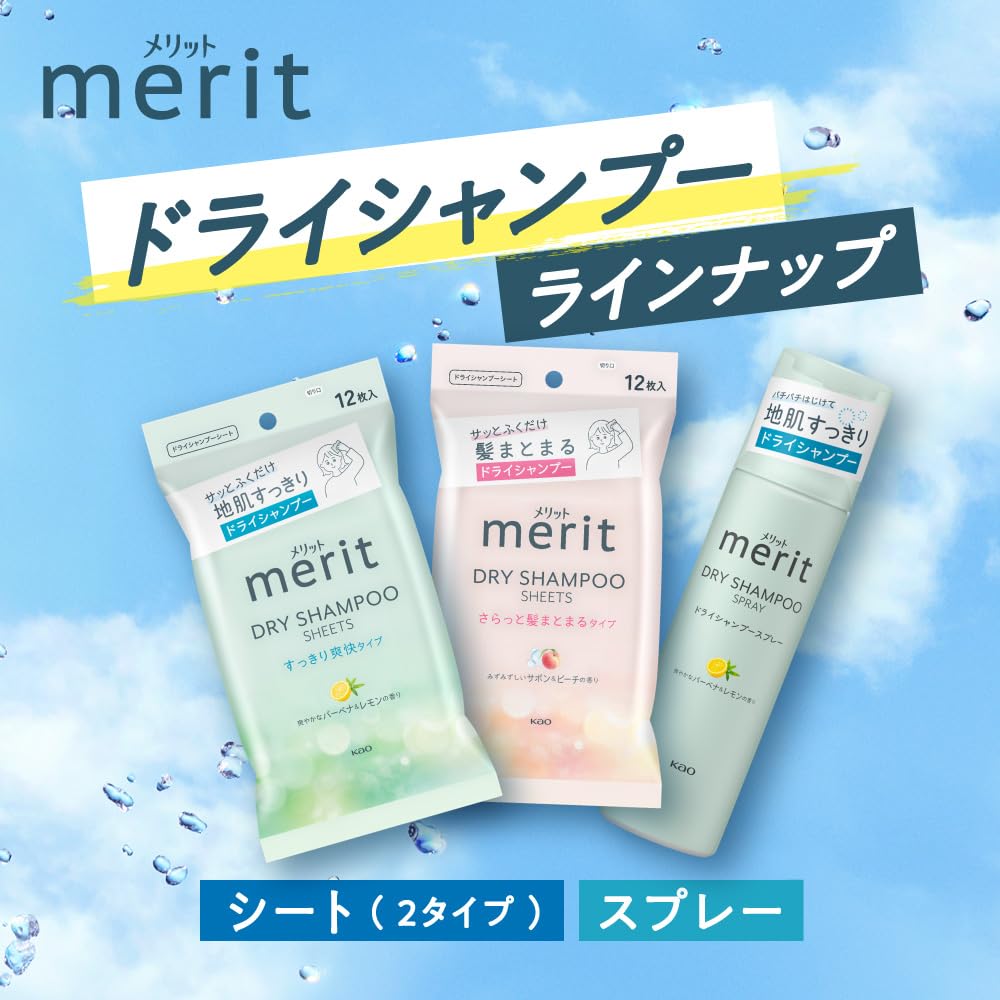 Merit Dry Shampoo Sheets 12 Count for Fresh and Tidy Hair