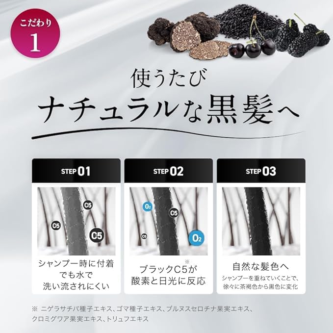 MODAMODA Black Shampoo Premium 100g for Hair Care