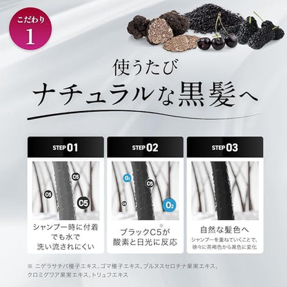 MODAMODA Black Shampoo Premium 100g for Hair Care