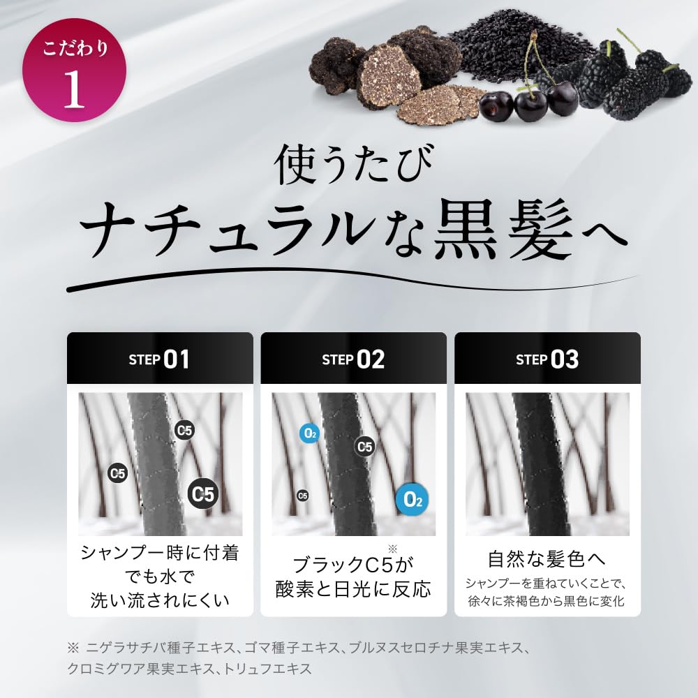 MODAMODA Black Shampoo Premium 100g and 300g Set for Japanese Hair Care