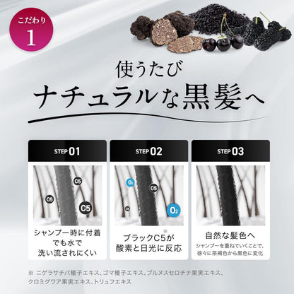 MODAMODA Black Shampoo Premium 100g and 300g Set for Japanese Hair Care