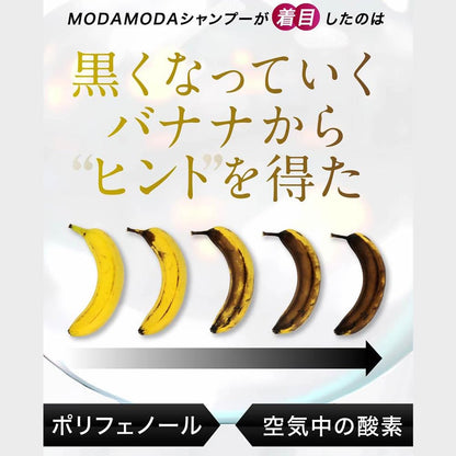 MODAMODA Black Shampoo Premium 100g and 300g Set for Japanese Hair Care