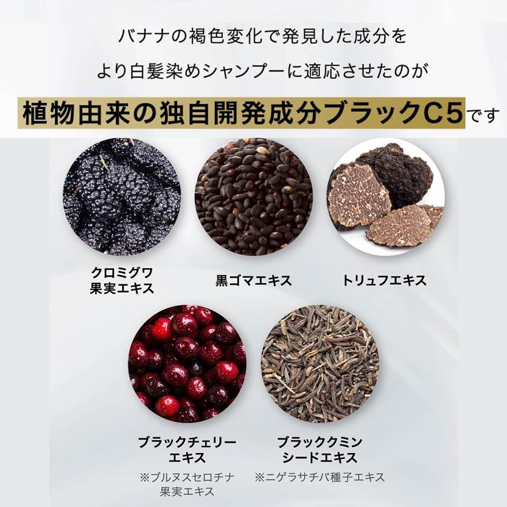 MODAMODA Premium Black Shampoo for Gray Hair 300g