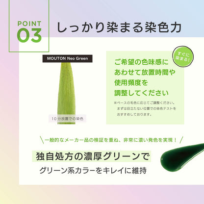 MOUTON Shampoo Color Care 250ml for Japanese Hair Care