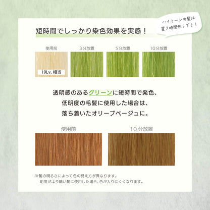 MOUTON Shampoo Color Care 250ml for Japanese Hair Care