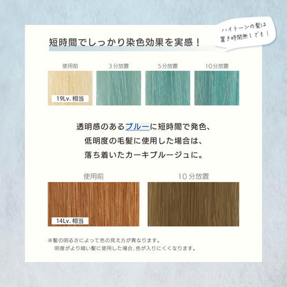 MOUTON Neo Blue Shampoo 250mL Color Care for Japanese Hair