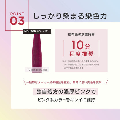MOUTON Cherry Pink Color Treatment 250g for Vibrant Hair Care