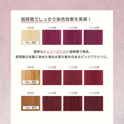 MOUTON Cherry Pink Color Treatment 250g for Vibrant Hair Care