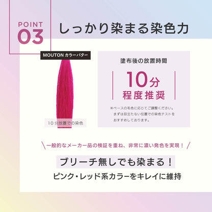 MOUTON Color Treatment Pink 250g for Vibrant Hair Care