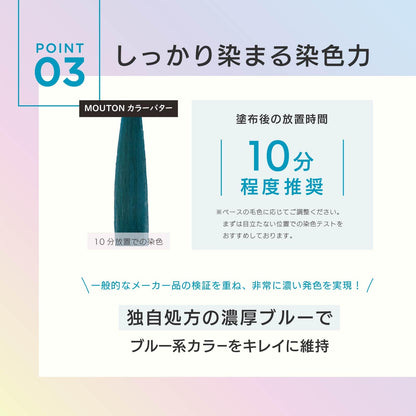 MOUTON Color Treatment Ocean Blue 250g for Japanese Hair Care