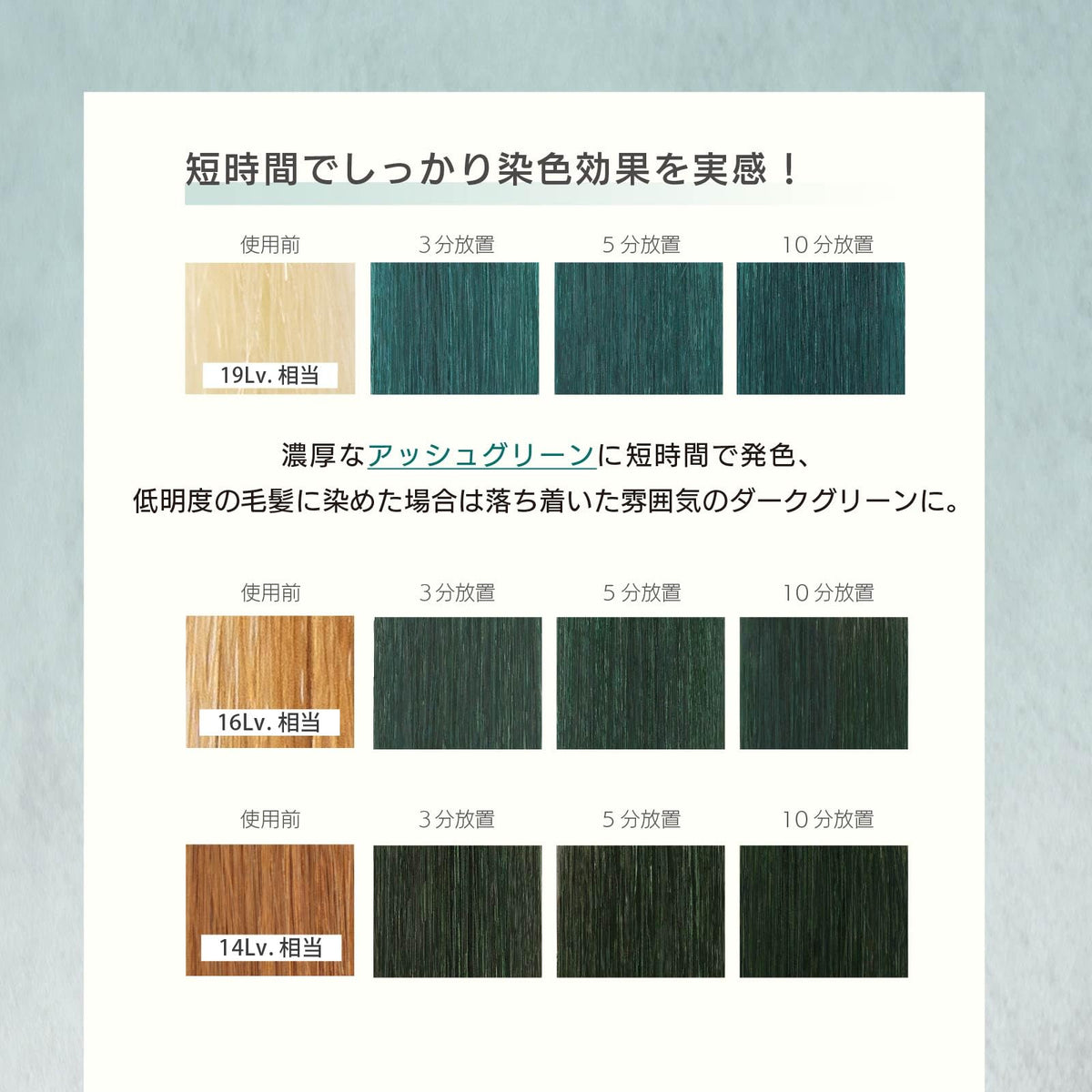 MOUTON Color Treatment Ash Green 250g for Japanese Hair Care
