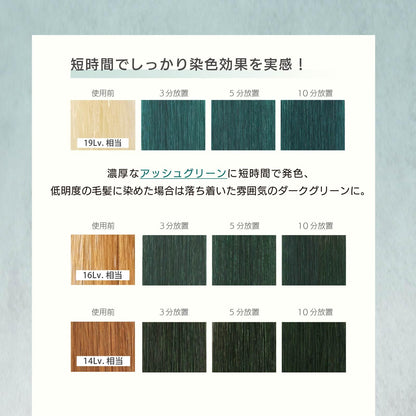 MOUTON Color Treatment Ash Green 250g for Japanese Hair Care