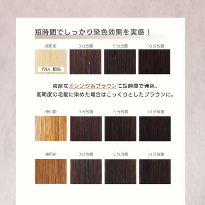 MOUTON Coconut Brown Color Treatment 250g for Japanese Hair Care