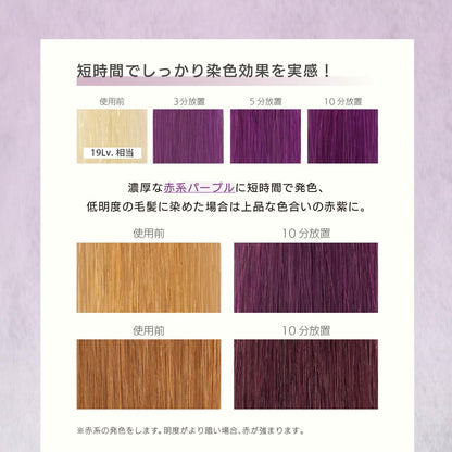 MOUTON Purple Color Treatment 250g for Japanese Hair Care