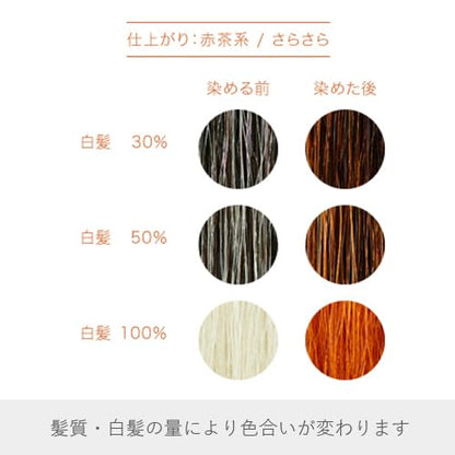 Naiad Henna and Herbs Hair Treatment 400g for Japanese Hair Care