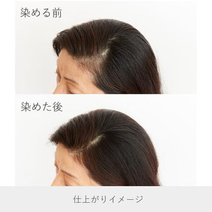 Naiad Henna and Herbs Hair Treatment 400g for Japanese Hair Care