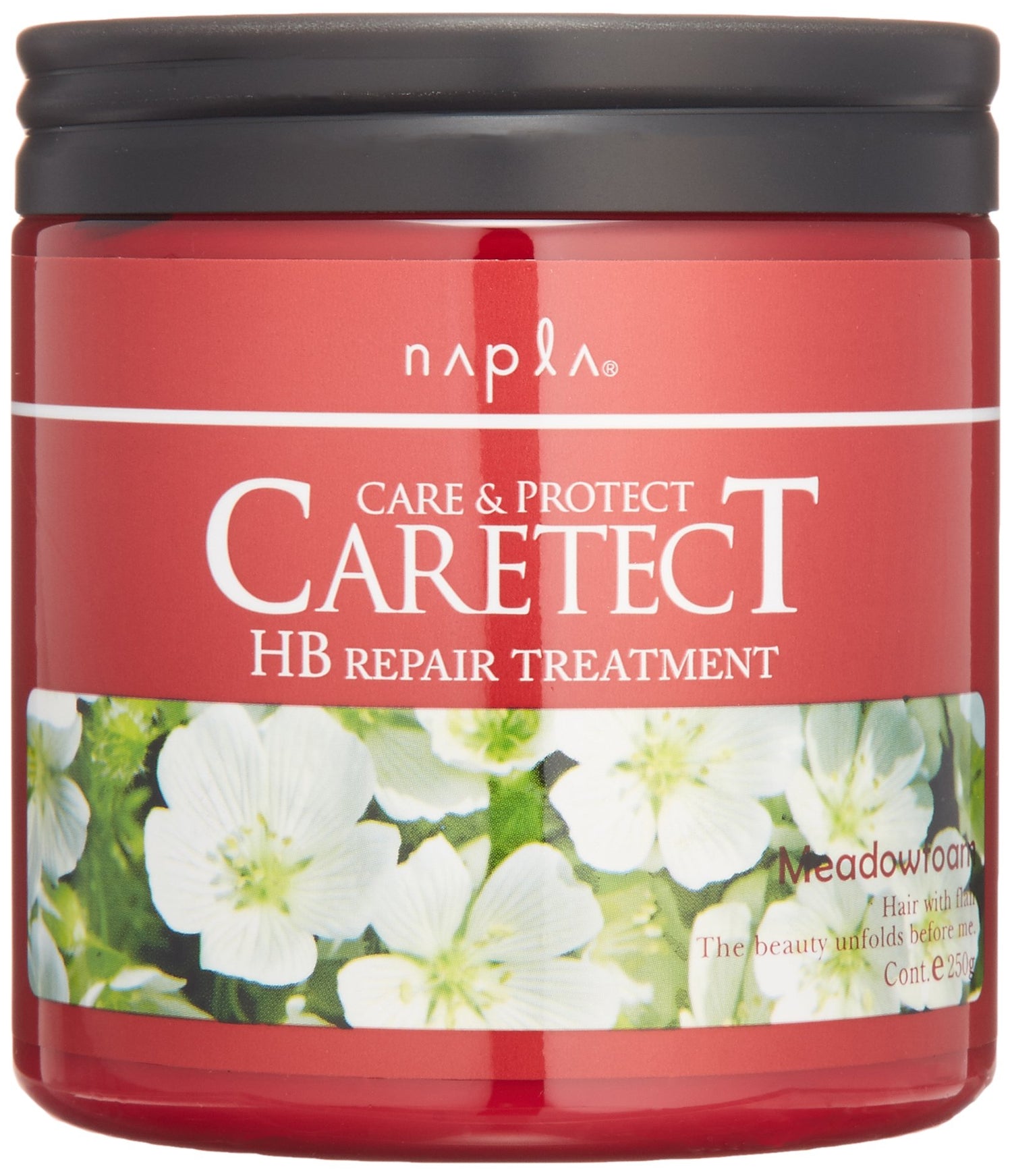 napla Caretect HB Traitement Réparateur 250g pour Cheveux Abîmés
