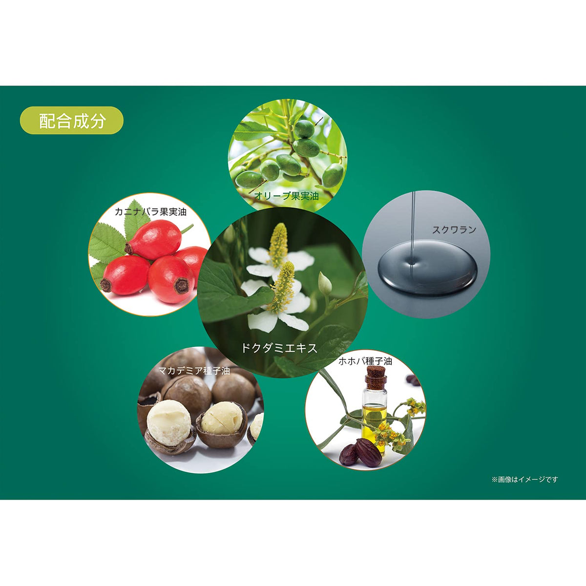 Chinoshiosha DN Moisture Cream Made with Natural Ingredients 185g