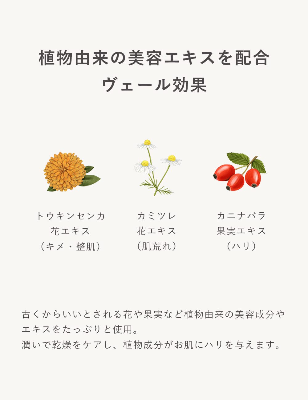 N organic Moisture &amp; Balancing Facial Cleanser 100g for Japanese Skincare