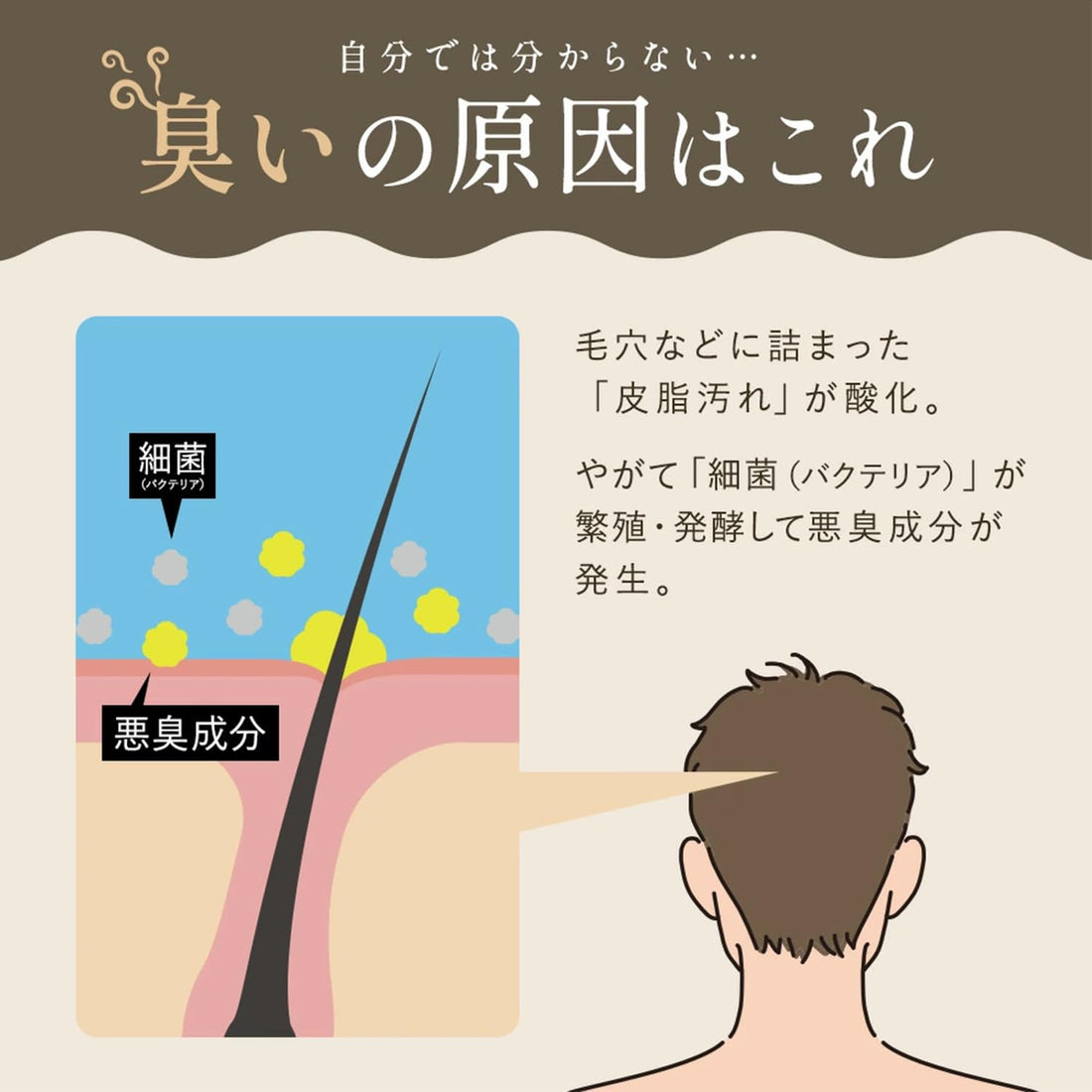 Kakinosachi Scalp Shampoo Refill 800mL for Men with Persimmon Extract