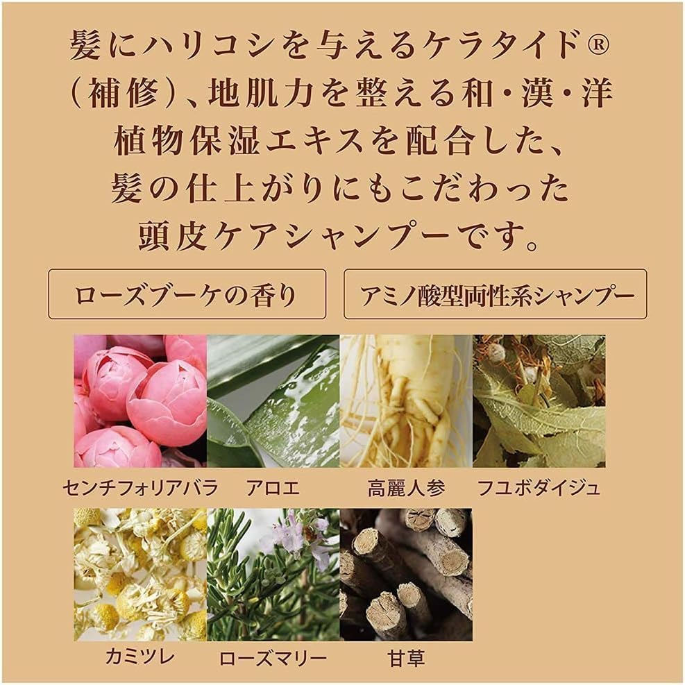 Of cosmetics Shampoo pour un cuir chevelu sain 625ml