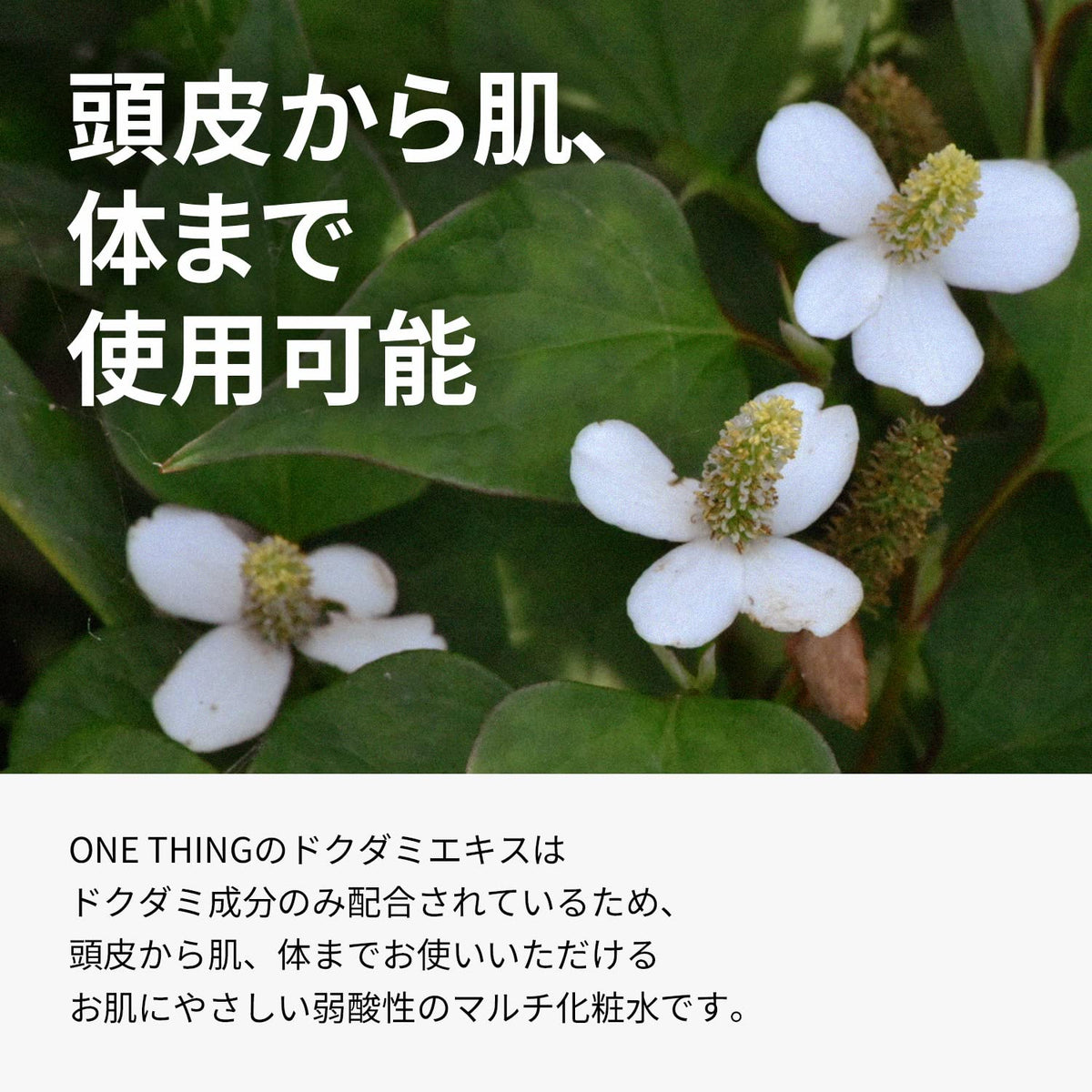 ONE THING Dokudami Extract Toner 150ml for Japanese Skincare