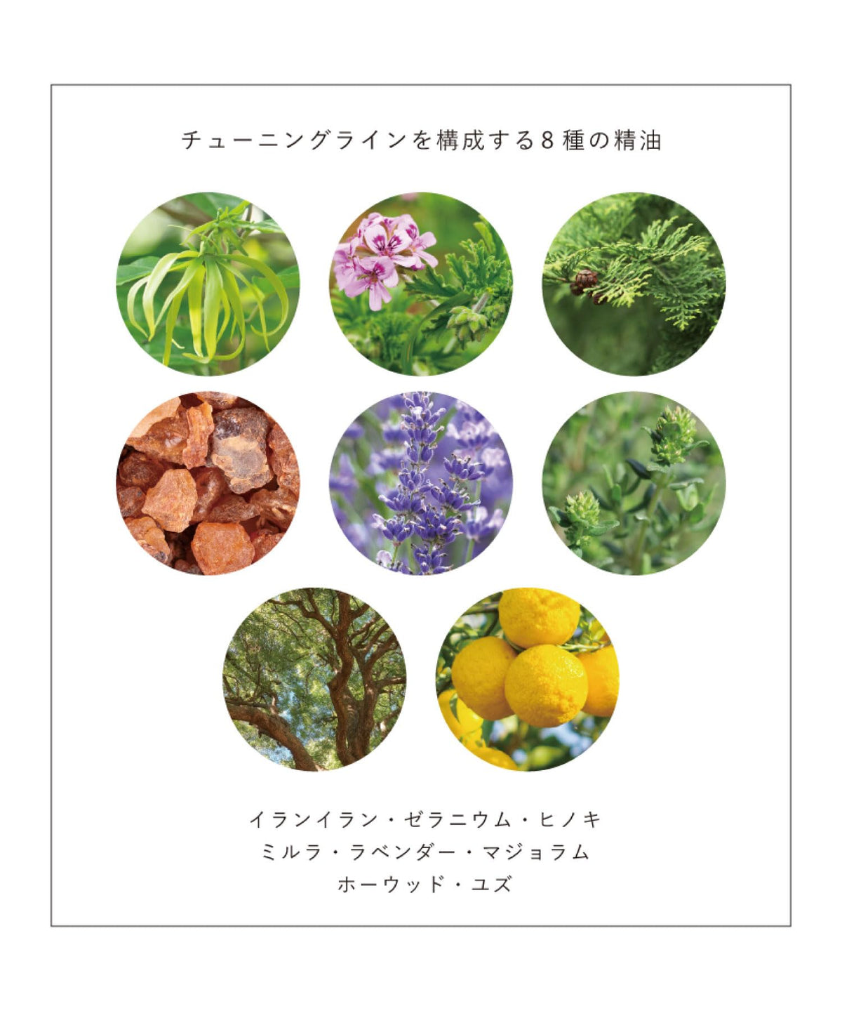 OSAJI Repairing Conditioner Refill 280g with Aromatic Woody Scent