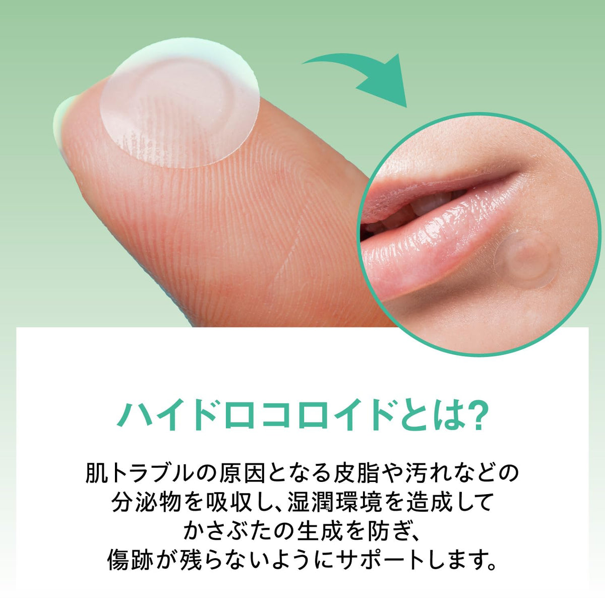 OTOKOKAKUMEI CICA Clear Patch 36 Count Hydrocolloid Spot Treatment