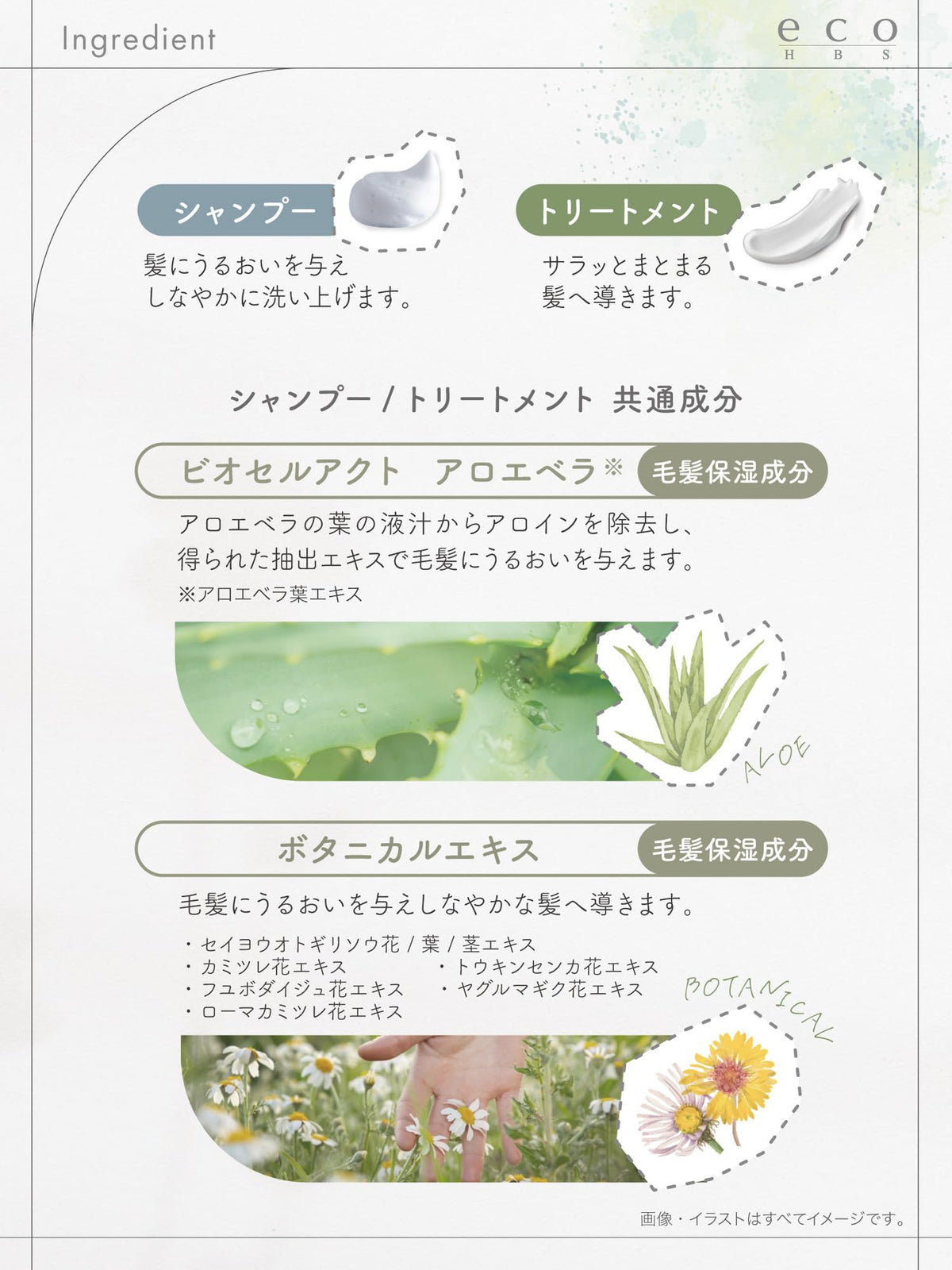 Paimore Eco HBS Shampoo Musk 1700mL for Japanese Hair Care