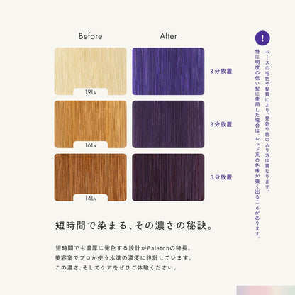 Paleton Color Butter Blue Violet Treatment 250g for Japanese Hair Care