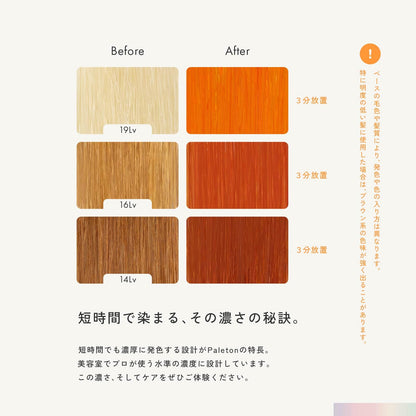 Paleton Mango Orange Color Treatment 250g for Bleached Hair Care