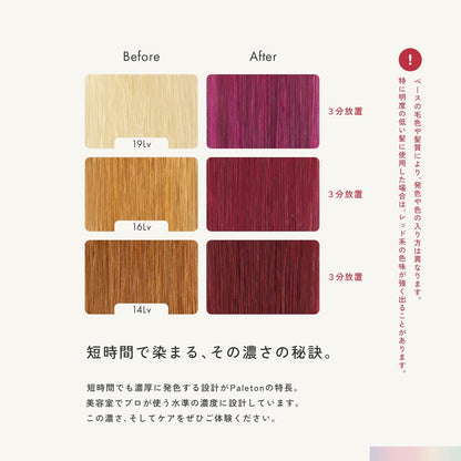 Paleton Cherry Pink Treatment for Bleached Hair 250g