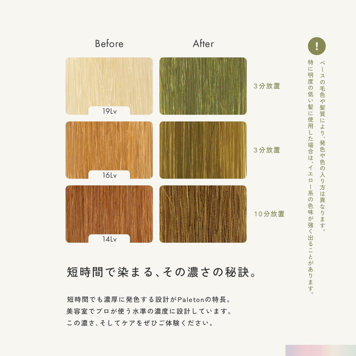 Paleton Shampoo Coloré Kaki 250g pour Cheveux Abîmés